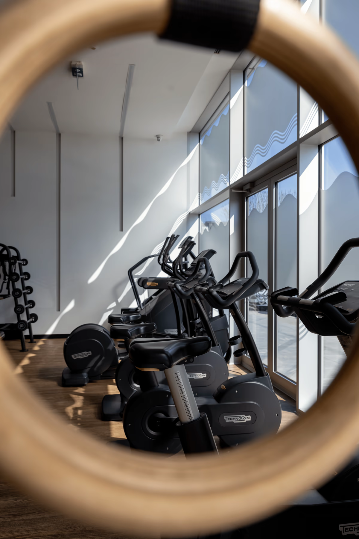 Muscle Beach Forty One – galerija