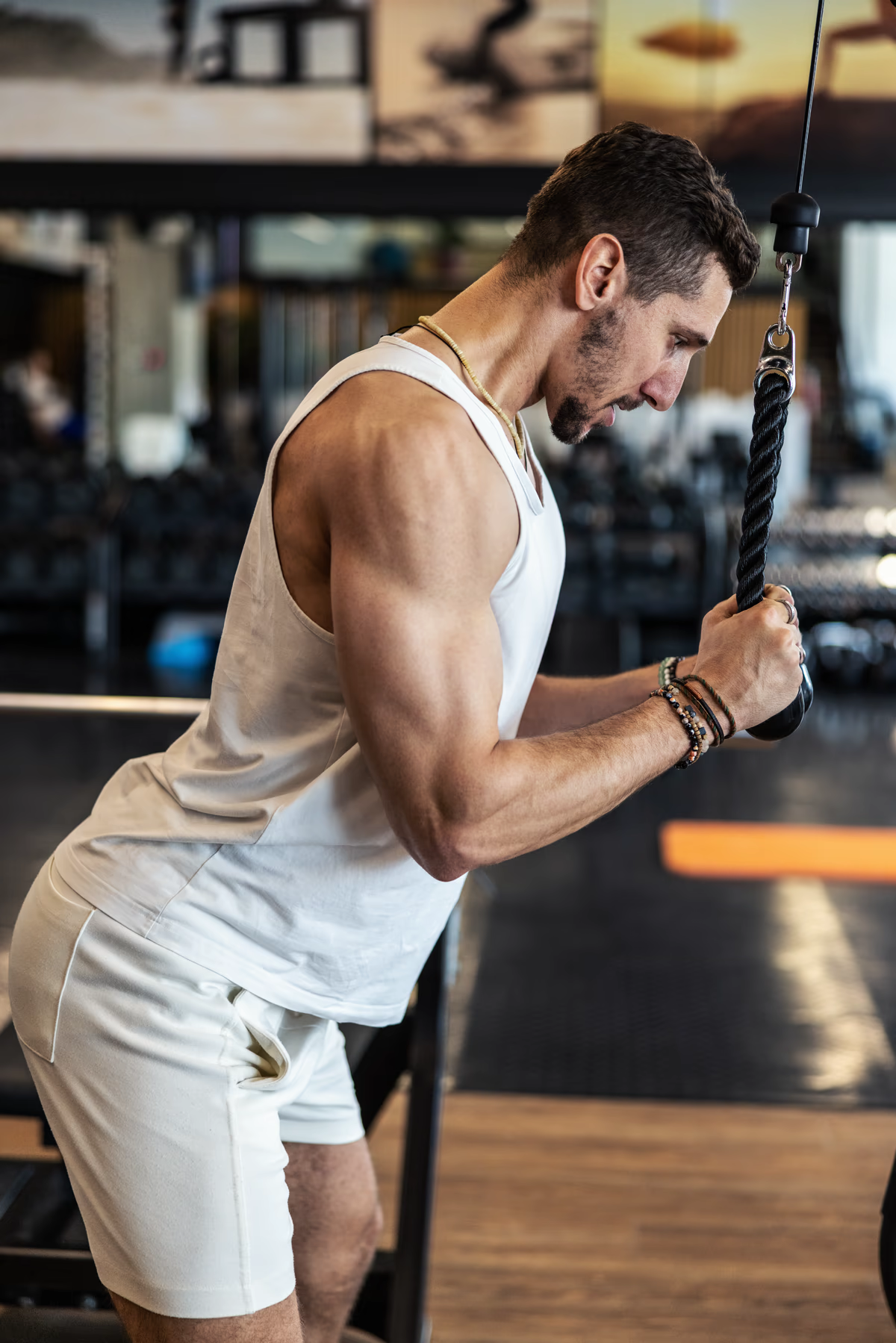Muscle Beach Forty One – galerija